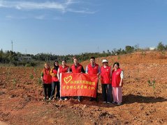 践行雷锋精神,共筑绿色家园—我院志愿者植树节在行动